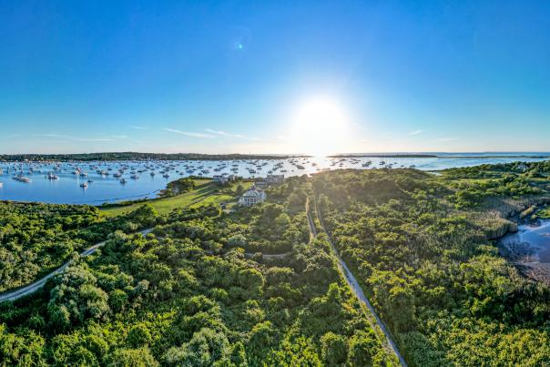 Panoramic aerial