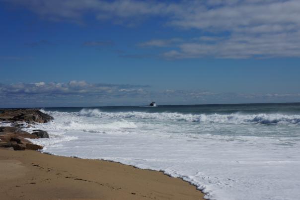 DSC02011