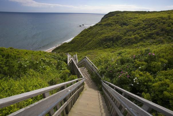 Stairs at The Bluffs (MM)