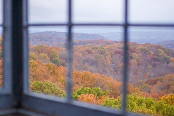 Hoosier National Forest in the fall from the view of a window