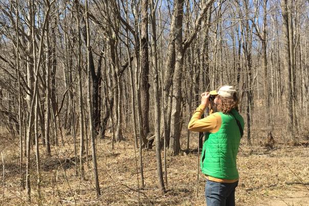 A man looking through binoculars during a birding expedition