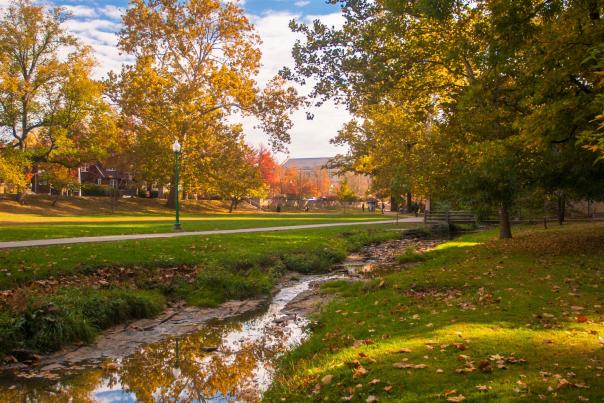 Dunn Meadow on IU's campus in Bloomington, IN during fall