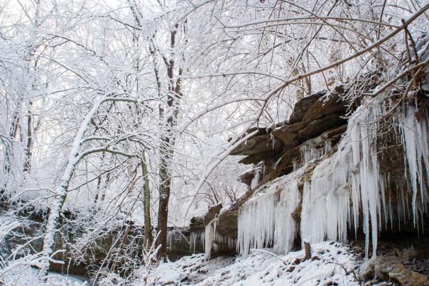 Cascades Winter