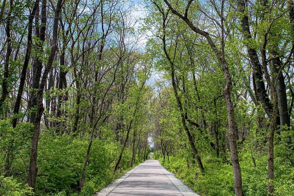 The Limestone Greenway during spring