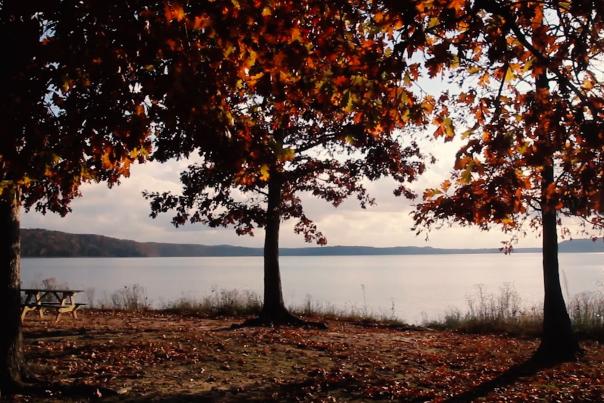 Thumbnail - Monroe Lake Fall Looping Video 5