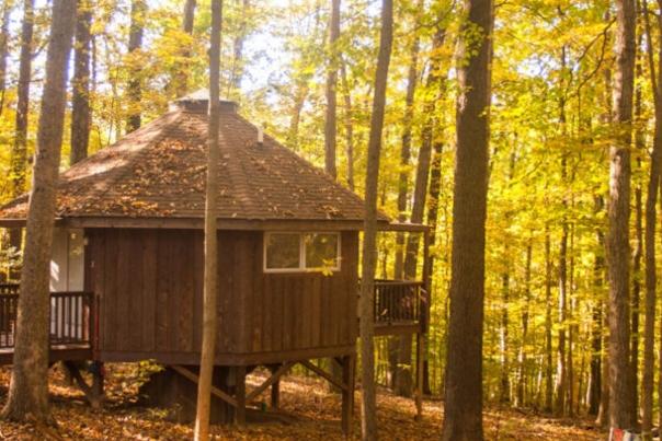 yurt