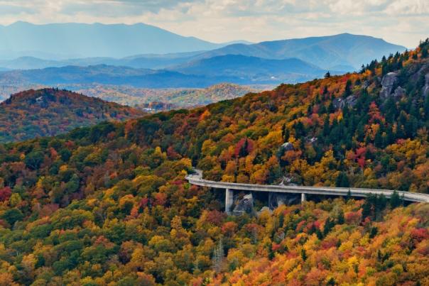 Distant Linn Cove Viaduct in Fall Color