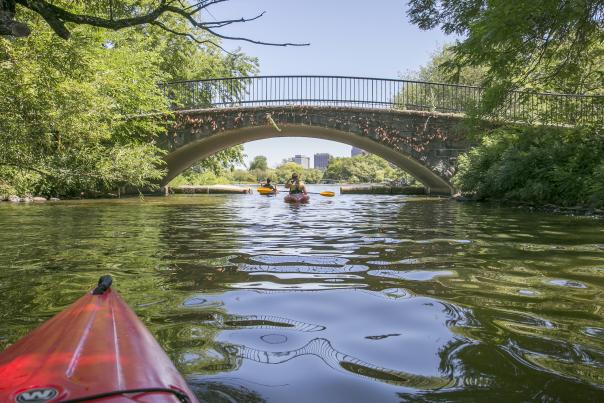 Charles River Kayaking