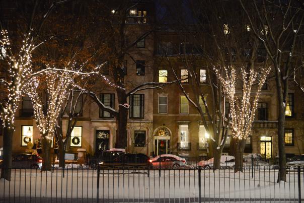 Boston's Holiday Lights Trail - Commonwealth Avenue