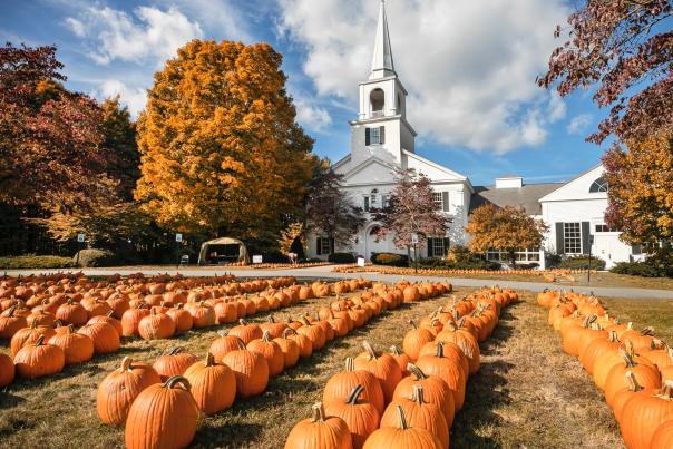 Pumpkins for sale in Lexington