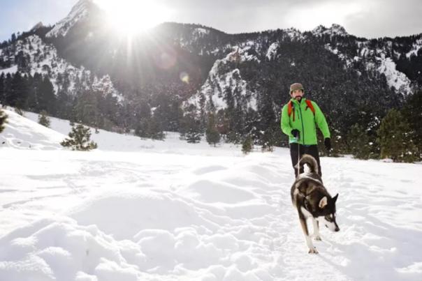 TripSavvy Chautauqua