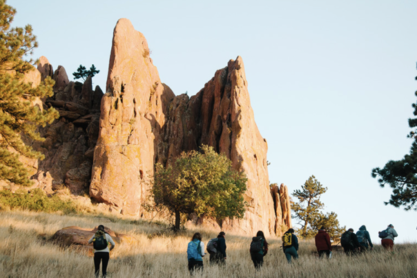 do not use - media only