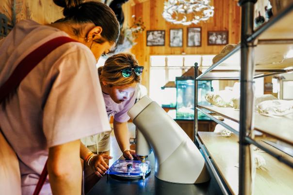 Educational Opportunities for Students in the Branson Area