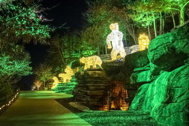 Drive Through Christmas Light Tour in Branson