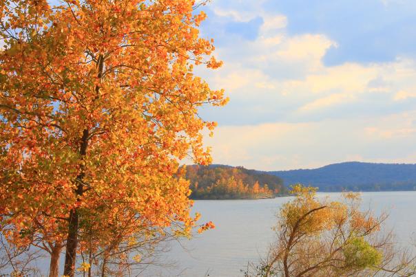 Fall Foliage Driving Tour #1 - Table Rock Lake, Kimberling City