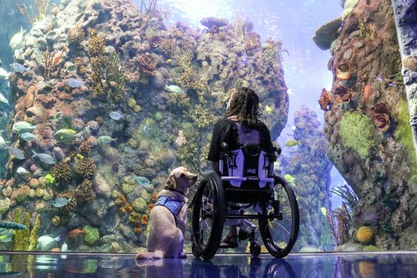 Going the Extra Mile: A Guide to Accessibility in Branson 