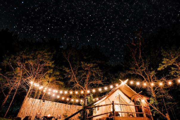 Small Business in Branson Celebrated by Midwest Living