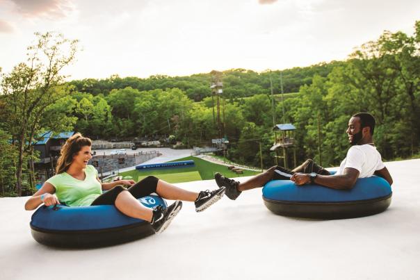 4 Things To Do This Spring