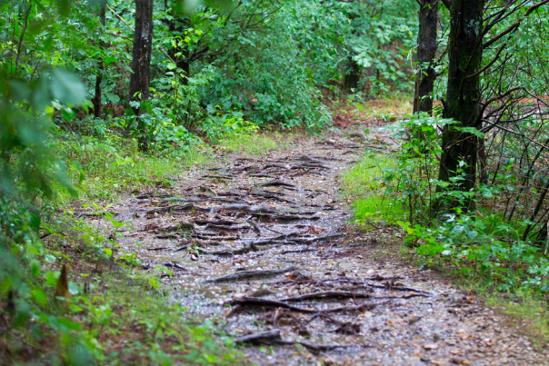Hike or Bike the White River Valley Trail System 