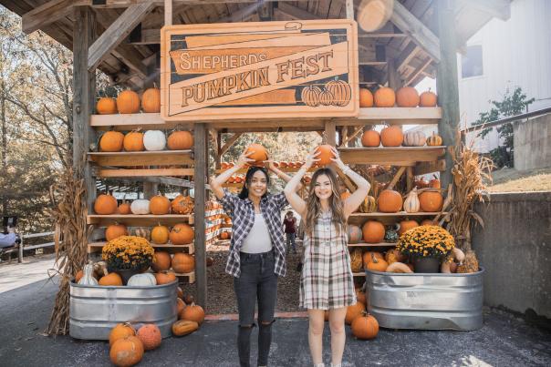 Fall Fun in Branson: Specials for Homeschool Families