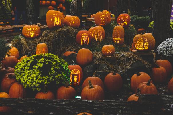 Harvest Festival: Craft Days and Pumpkin in the City at Silver Dollar City