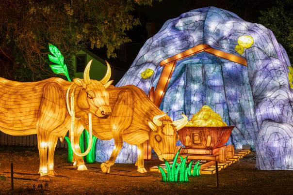 Shepherd of the Hills Aglow 2026