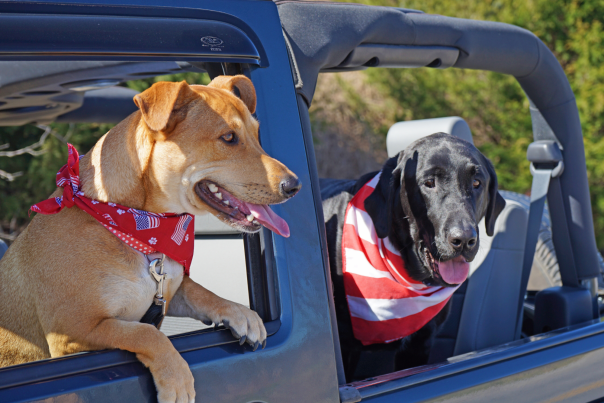 Road Trip Itinerary: Kansas City to Branson, MO