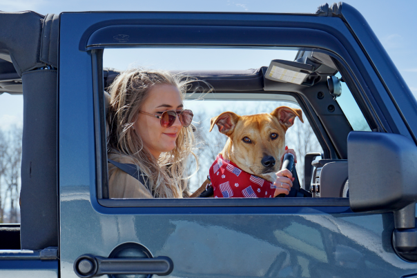 Road Trip Itinerary: St. Louis to Branson 