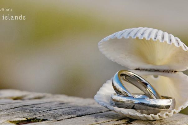 wedding rings in seashell