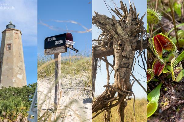 a compiled photo of Old Baldy Lighthouse, a mailbox in the sand, a wood sculpture, and venus flytraps growing naturally