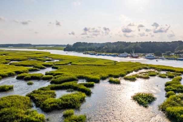 an aerial view of river marsh and a line of boats along the riverbank in Calabash, NC