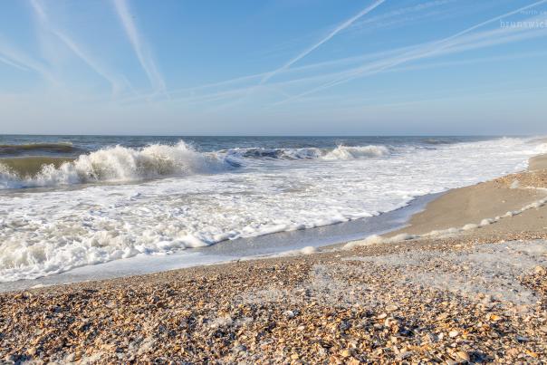 a wave crashing to the shore of a beach covered in shells