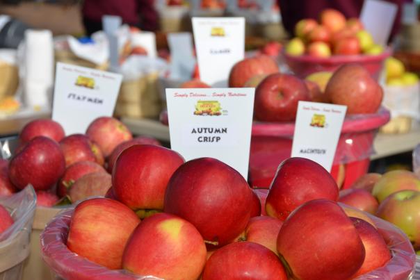 Take home a bushel fresh from the orchard during Apple Festival in Peddler's Village.
