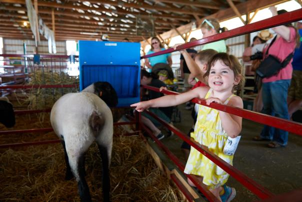 Families enjoy the 4-H Club animals on display at the Middletown Grange Fair.