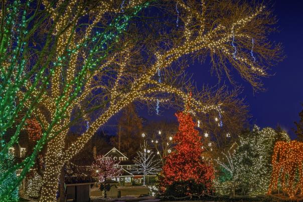 Grand Illumination at Peddler's Village draws thousands of visitors for the holidays!