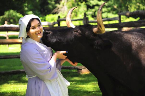 Bill the Ox at Pennsbury Manor