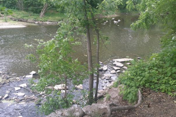 Castle Valley Park creek