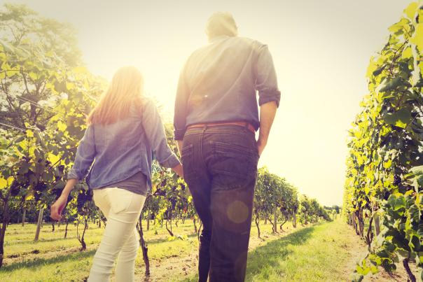 Crossing Vineyards & Winery