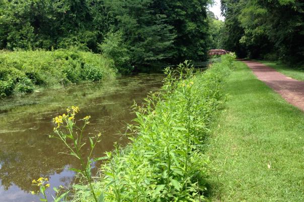 Delaware Canal Towpath Yardley Elisa Baxt