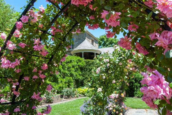 Rose Garden at Andalusia