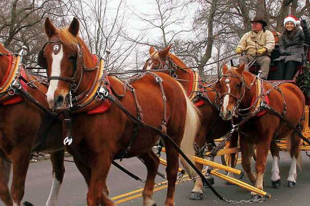 Falmouth Christmas Parade