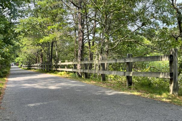 Cape Cod Rail Trail