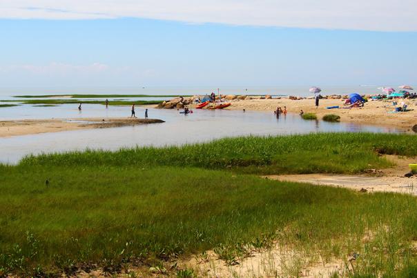 Paine's Creek