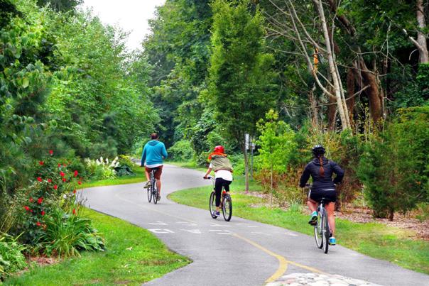 Bikers on Trail