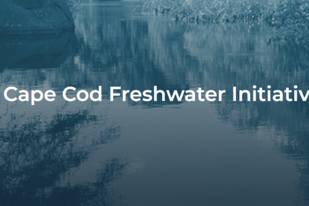 Cape Cod Fresh Water