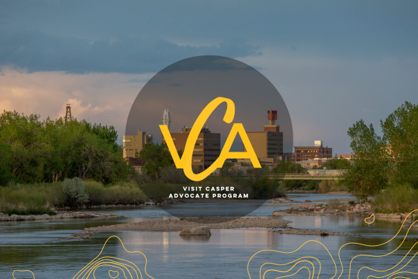 VCA Workshop Info Page