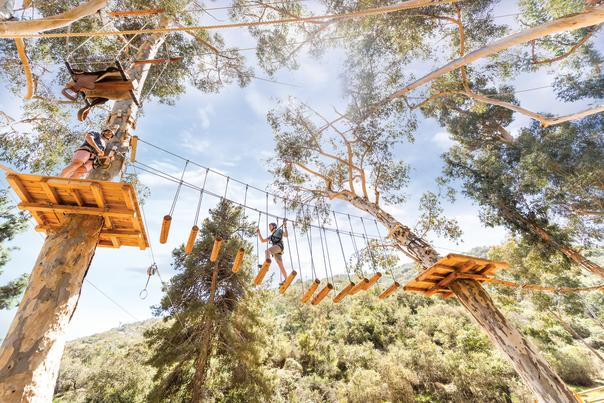 View Of Person On A Rope Bridge At Aerial Adventure On Catalina Island