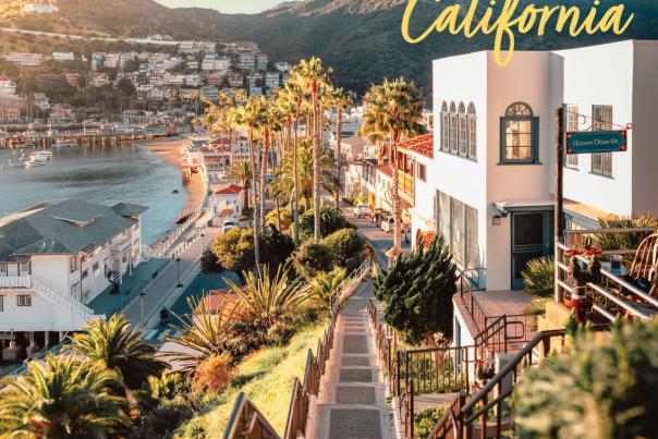 2026 Visitor Guide Cover