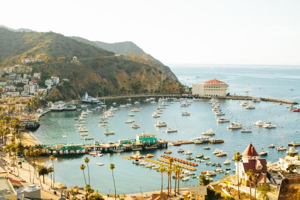 This Week's Events on Catalina Island