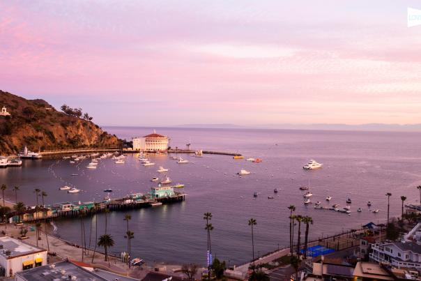 Love Catalina Webcam